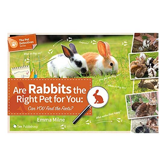 Are rabbits the right pet for you - Imagine 1