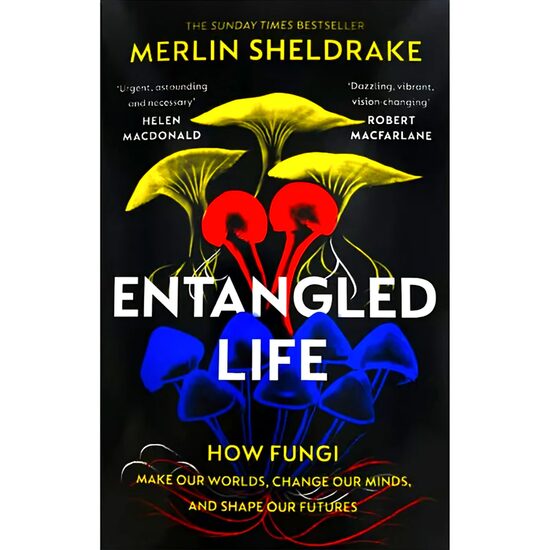 Entangled Life - Imagine 1