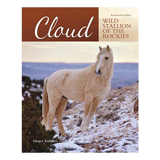 Cloud - Imagine 1