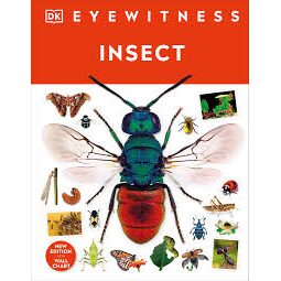 Eyewitness Insect (DK Eyewitness)