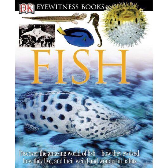 DK Eyewitness Books: Fish, DK - Imagine 1
