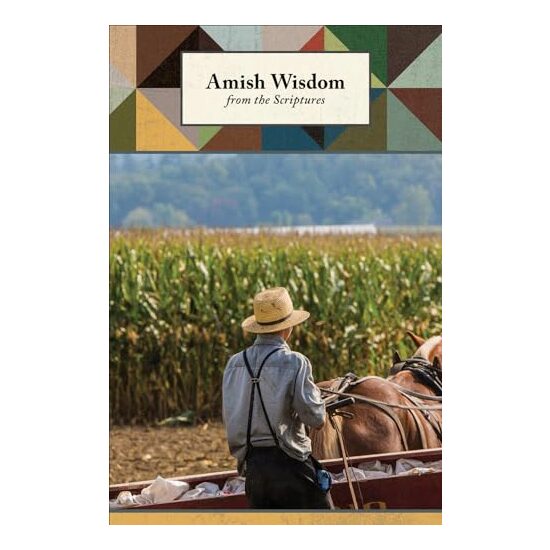 Amish Wisdom From the Scriptures Journal - Imagine 1