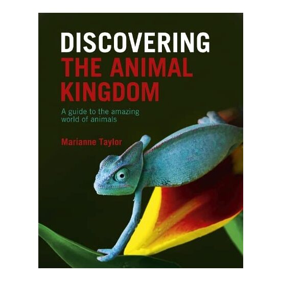Discovering the Animal Kingdom