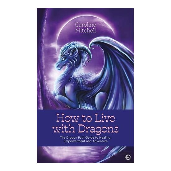 How to Live with Dragons, Caroline Mitchell - Imagine 1