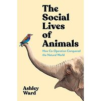 Social Lives of Animals