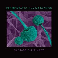 Fermentation As Metaphor