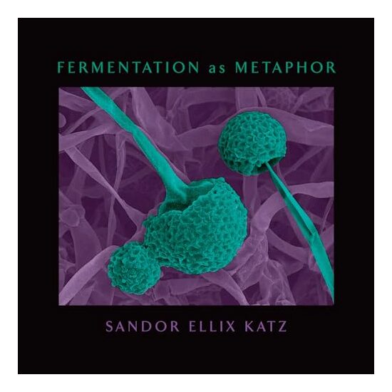 Fermentation As Metaphor