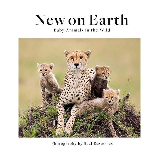 New on Earth