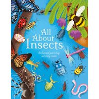All about Insects, Polly Cheeseman, Iris Deppe