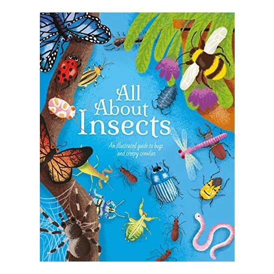All about Insects, Polly Cheeseman, Iris Deppe