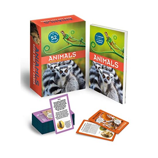Animals: Book and Fact Cards - Imagine 1