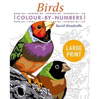 Large Print Colour by Numbers Birds, David Woodroffe