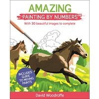 Amazing Painting by Numbers
