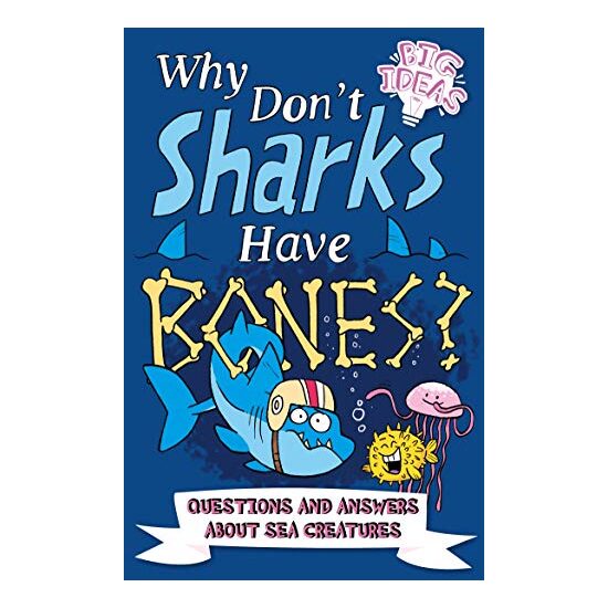 Why Dont Sharks Have Bones?