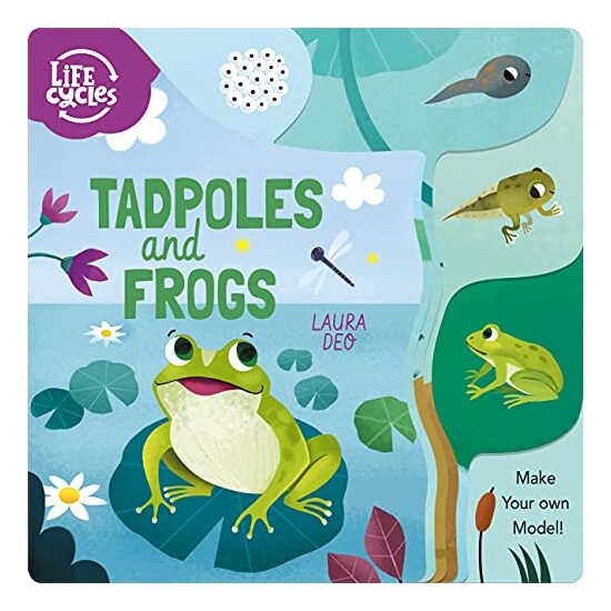 Tadpoles and Frogs - Imagine 1