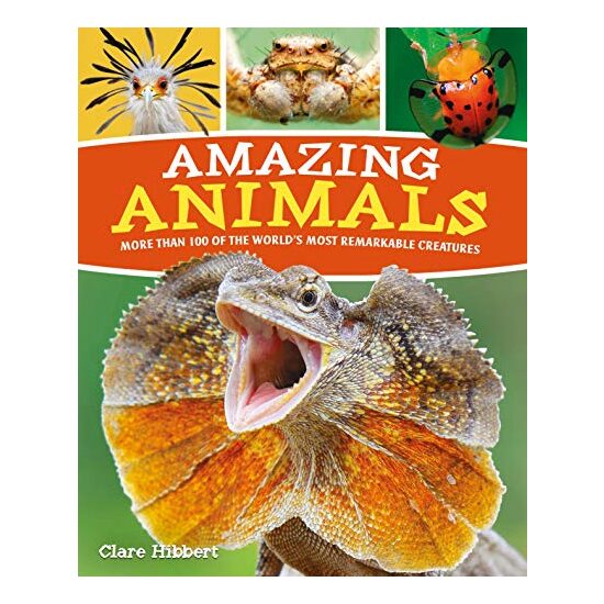 Amazing Animals - Imagine 1