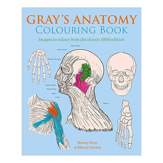 GRAY'S ANATOMY COLOURING BOOK, Henry Gray