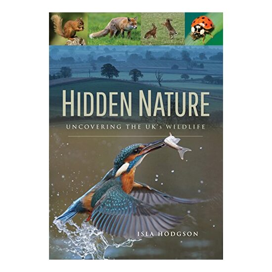 Hidden Nature