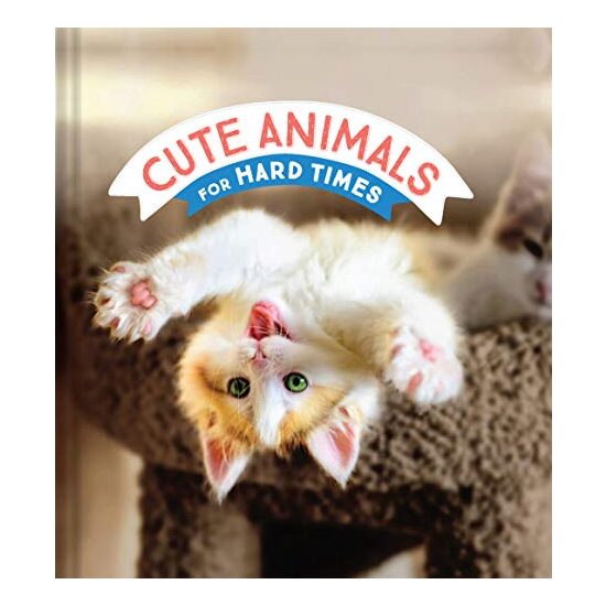 Cute Animals for Hard Times - Imagine 1