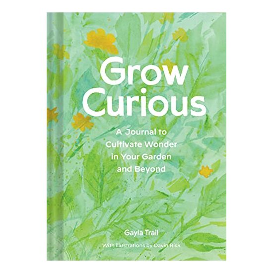 Grow Curious, Gayla Trail, Davin Risk - Imagine 1