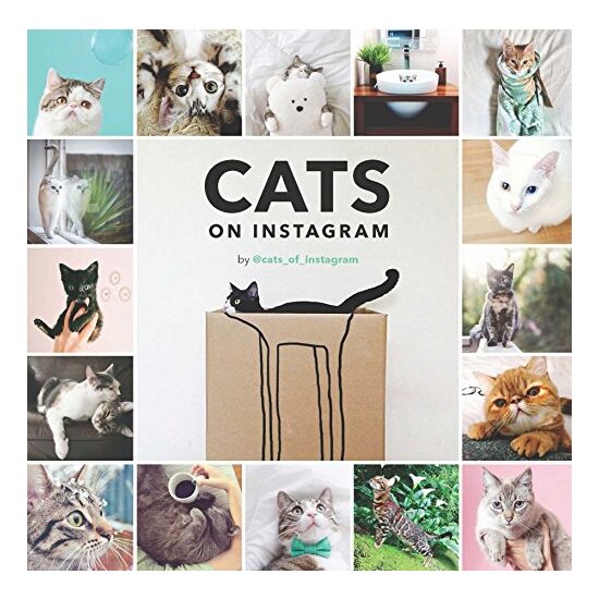 Cats on Instagram