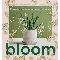 Bloom Flowering Plants for Indoors and Balconies
