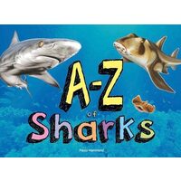 A-Z of Sharks