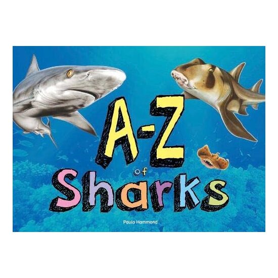 A-Z of Sharks