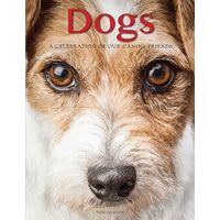 Dogs