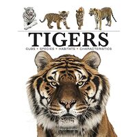 Tigers