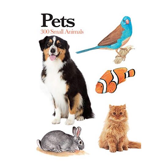 Pets - Imagine 1