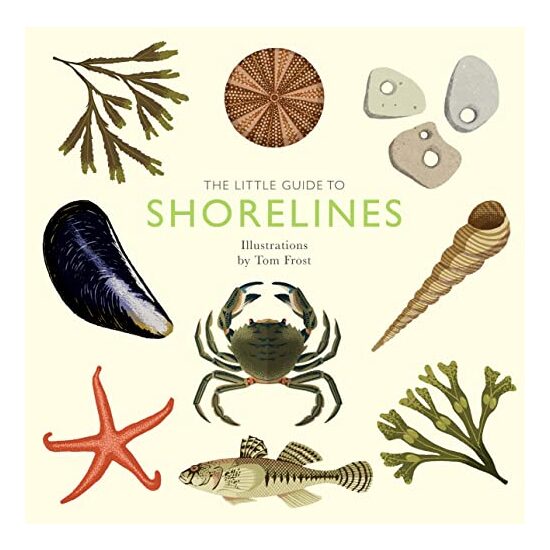 Little Guide to Shorelines