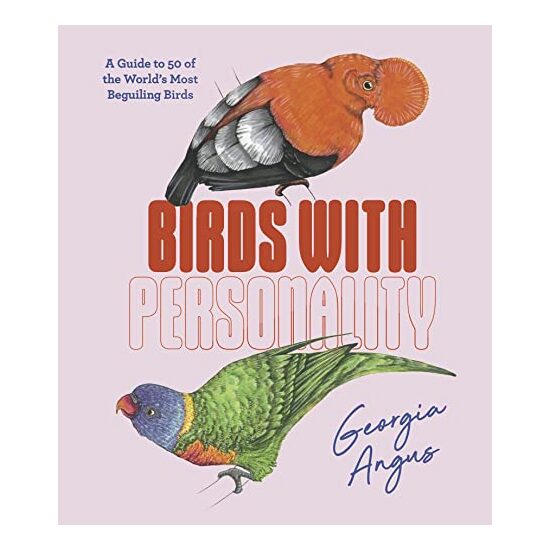 Birds with Personality - Imagine 1