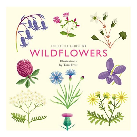 Little Guide to Wildflowers, Alison Davies, Tom Frost
