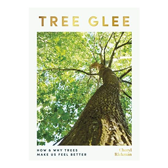 Tree Glee - Imagine 1