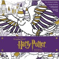 Harry Potter Winter at Hogwarts