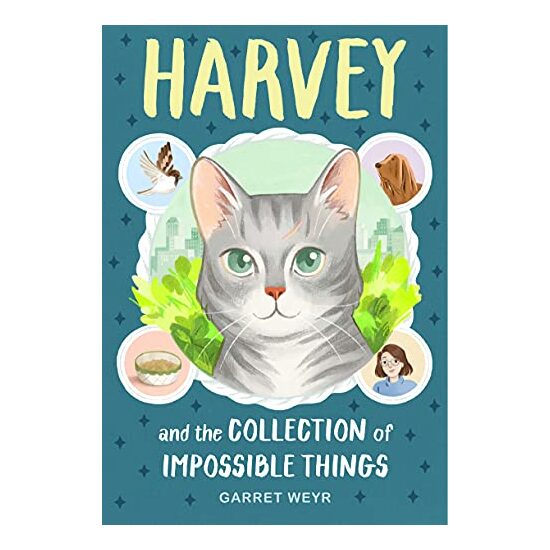 Harvey and the Collection of Impossible Things - Imagine 1