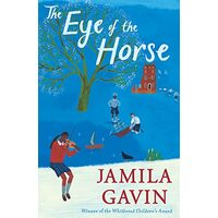 Eye of the Horse