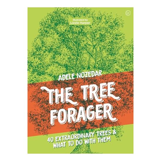 Tree Forager