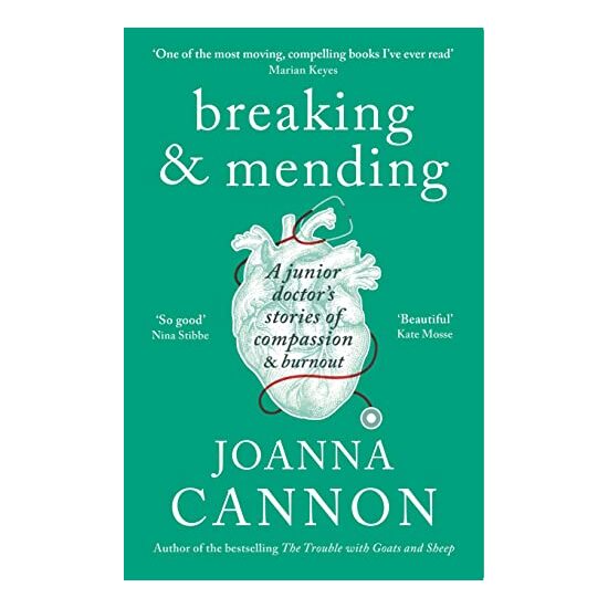 Breaking and Mending
