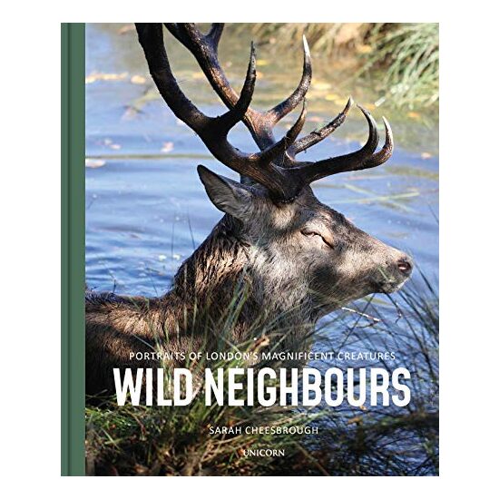 Wild Neighbours - Imagine 1