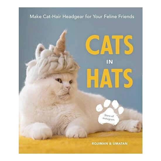 Cats in Hats - Imagine 1