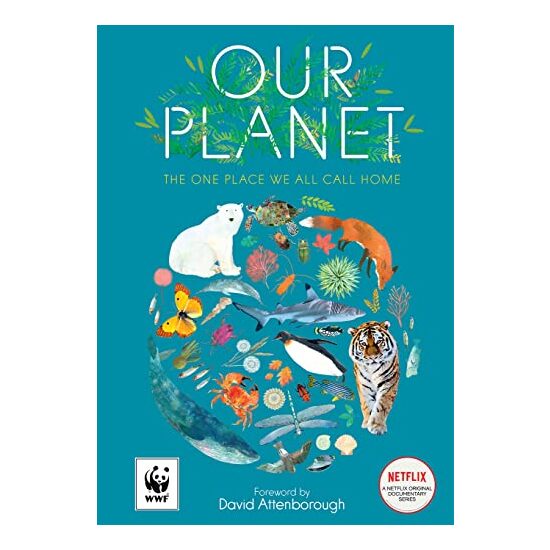 Our Planet - Imagine 1