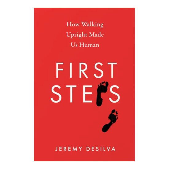 First Steps, Jeremy DaSilva - Imagine 1