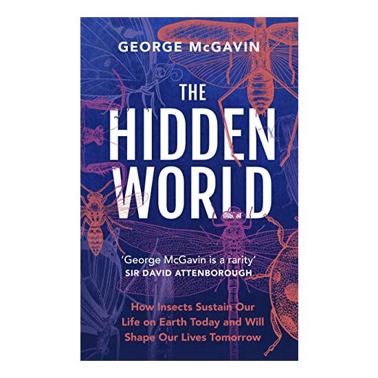 Hidden World