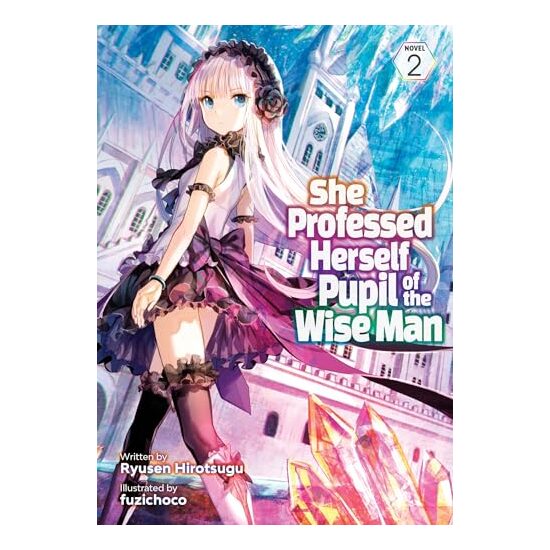 She Professed Herself Pupil of the Wise Man (Light Novel) Vol. 2