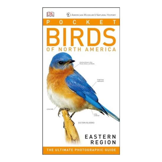 Pocket Birds of North America - Eastern Region