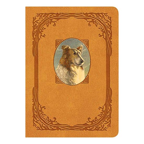 Lassie Come-Home - Imagine 1