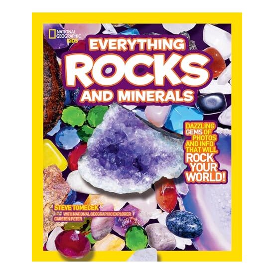 Everything Rocks and Minerals, Steve Tomecek