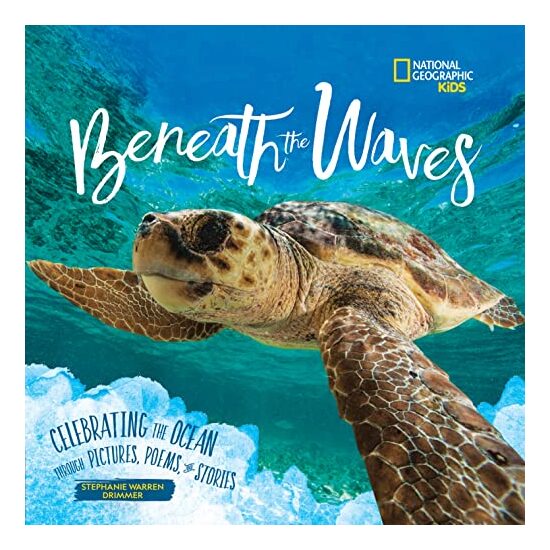 Beneath the Waves